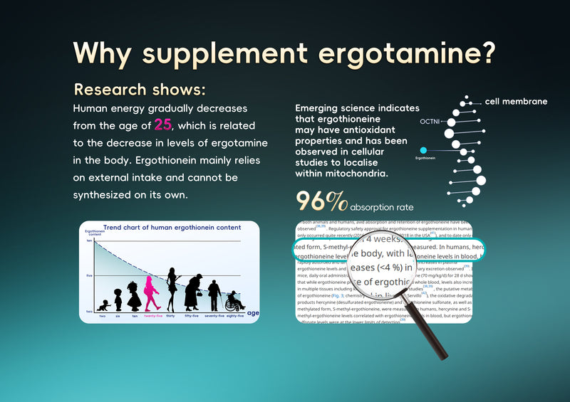 FcMzit L-Ergothioneine  Premium Formula 30 Capsules